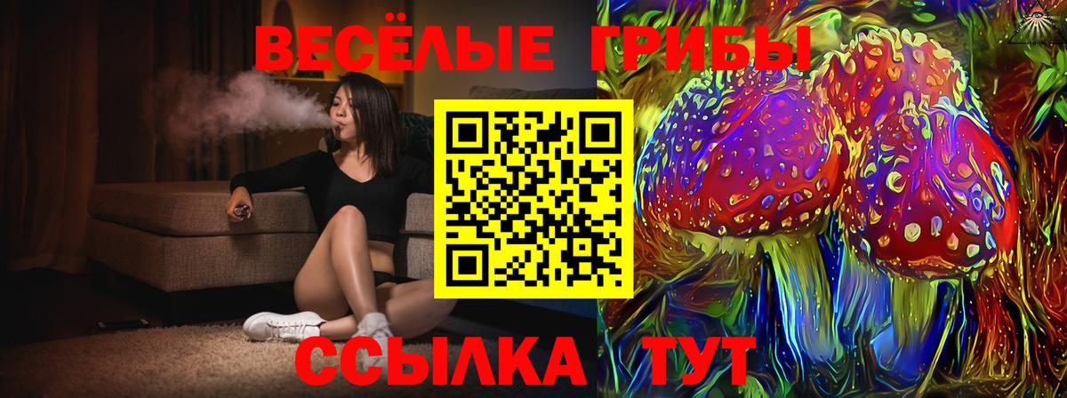Благовещенск  Псилоцибиновые грибы мицелий  Вход с VPN  Галлюциногенные грибы ЛСД 