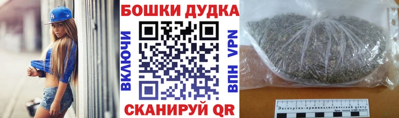Бошки Шишки планчик  Благовещенск 